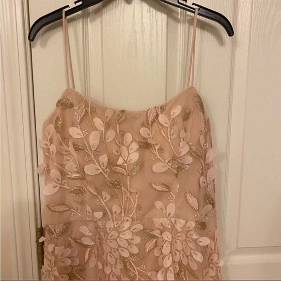 XSCAPE Floral-Appliqués High-Low Gown in Blush - Picture 6 of 11